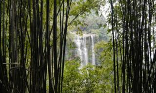 蜀南竹海最值得去的地方 蜀南竹海农家乐