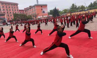 少林寺文武学校一年要交多少学费