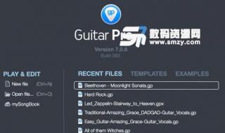 guitar pro支持什么格式